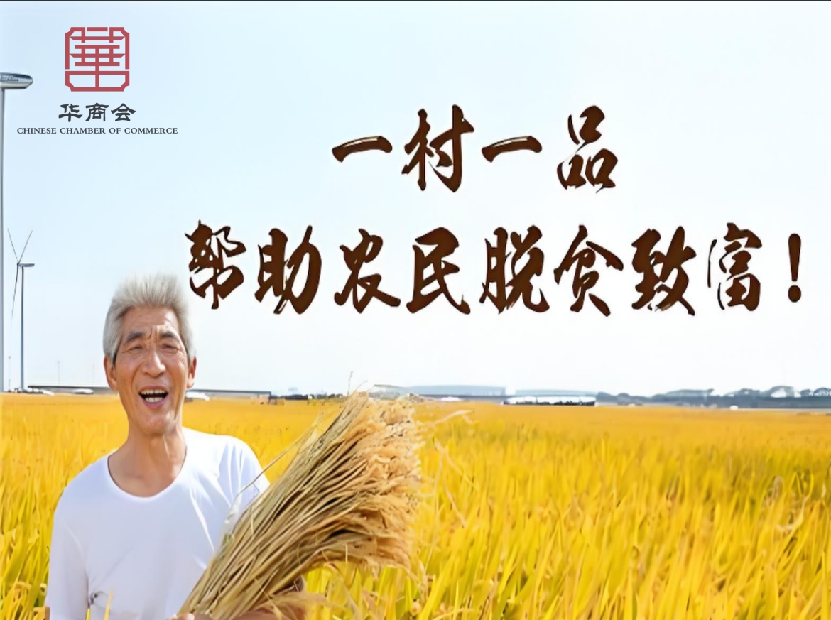 24365_副本 24365_副本