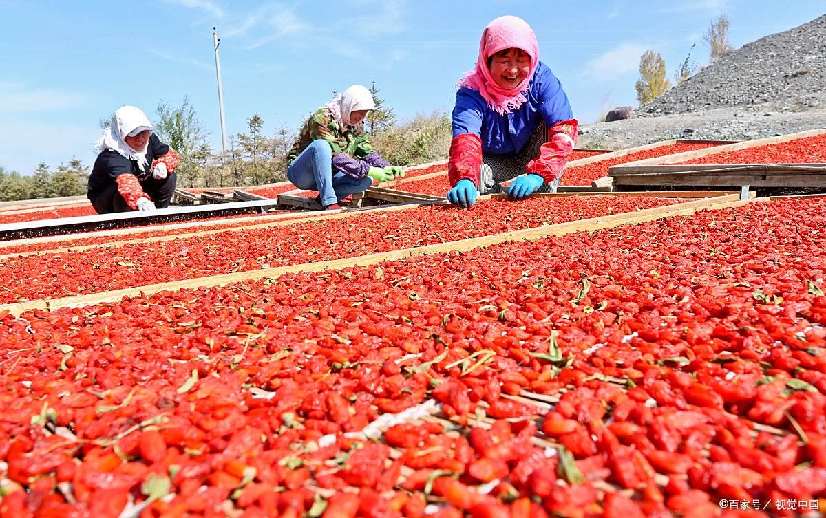 235_副本 235_副本