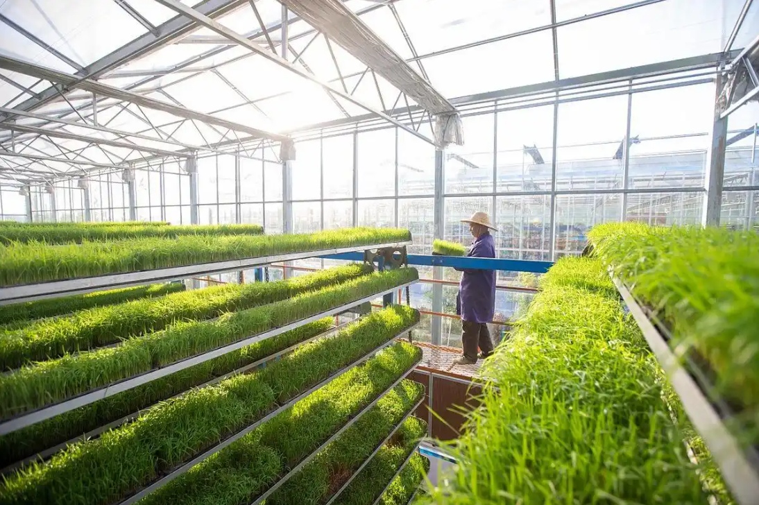 35325_副本 35325_副本