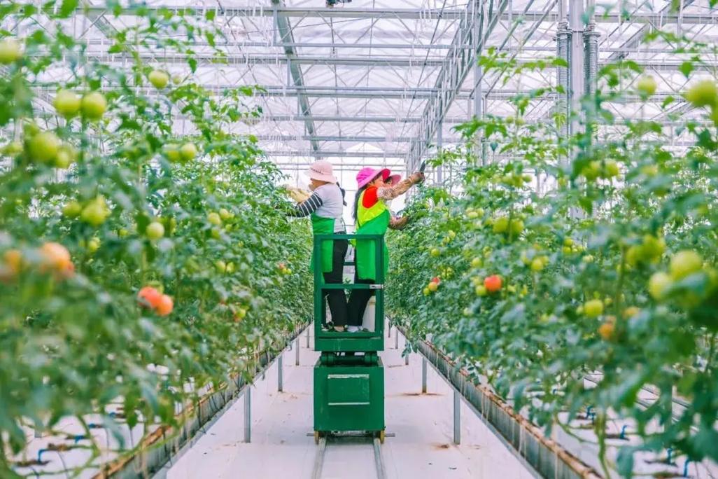 聚商会2025年：锚定新兴科技，引领产业融合创新新征程